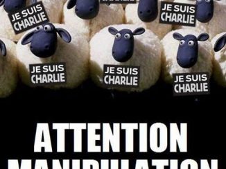 Moutons-suis-Charlie